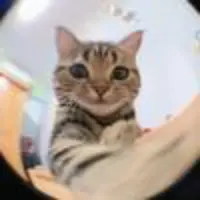 🦄 @lexi_marvell - leximarvell - TikTok